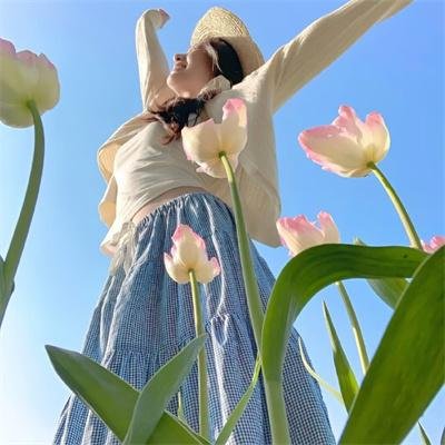 红杏劫粤语